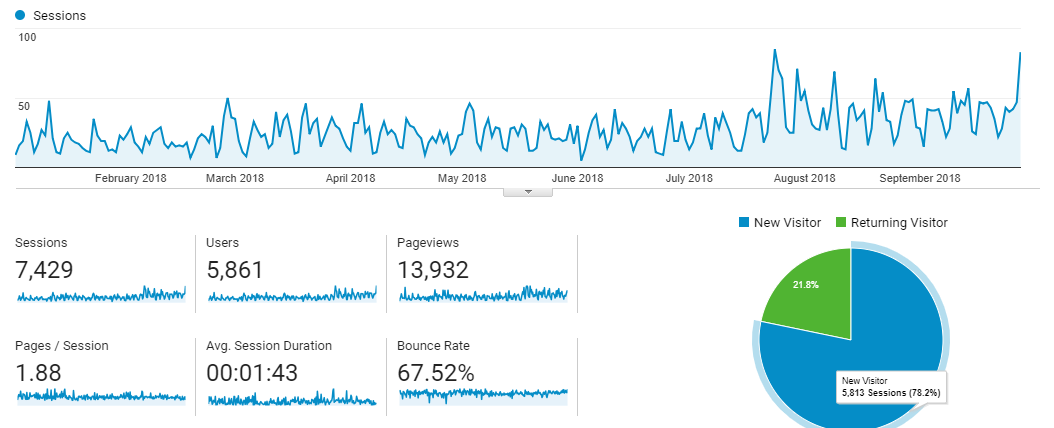 Visitor Analysis Report